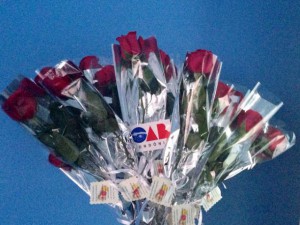 Mulheres Advogadas de Vilhena recebem rosas