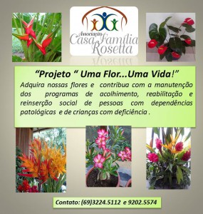 BANNER  SOCIAL flores2014