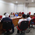 Reunião Comissão da Pessoa com Deficiência (6)