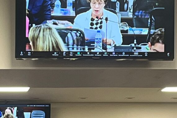 Vera Lúcia Paixão, Conselheira Federal da Seccional, relata matéria e OAB atuará no STF contra exames médicos invasivos exigidos de mulheres em concursos militares